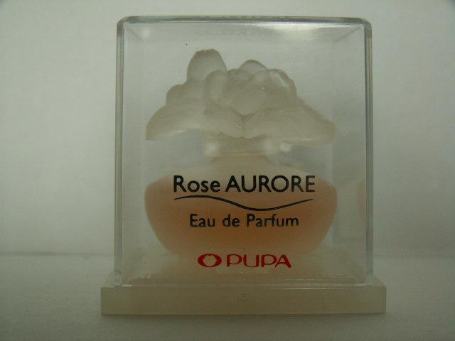 Pupa-roseaurore.jpg