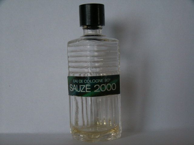 Sauze-sauze2000.jpg