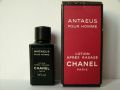 Chanel-anteus-341.jpg
