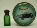 Jaguar-1950mkv.jpg